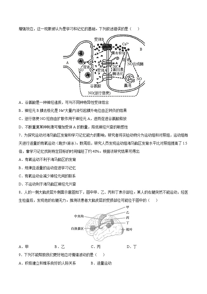 2.5 人脑的高级功能 2课时课件＋课时作业（原卷＋解析卷）02
