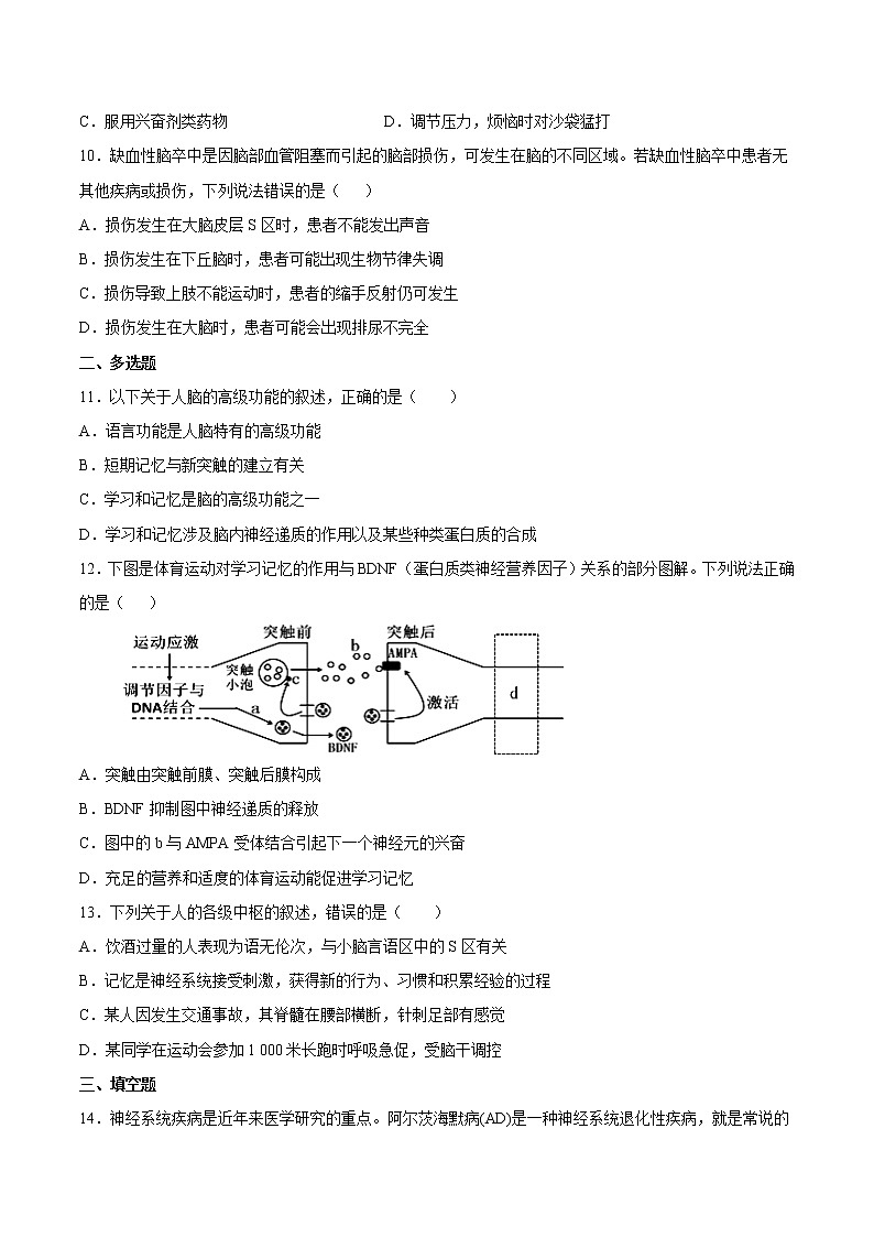 2.5 人脑的高级功能 2课时课件＋课时作业（原卷＋解析卷）03