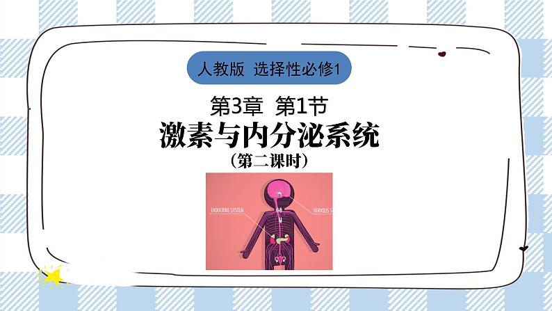3.1 激素与内分泌系统 2课时课件＋课时作业（原卷＋解析卷）01