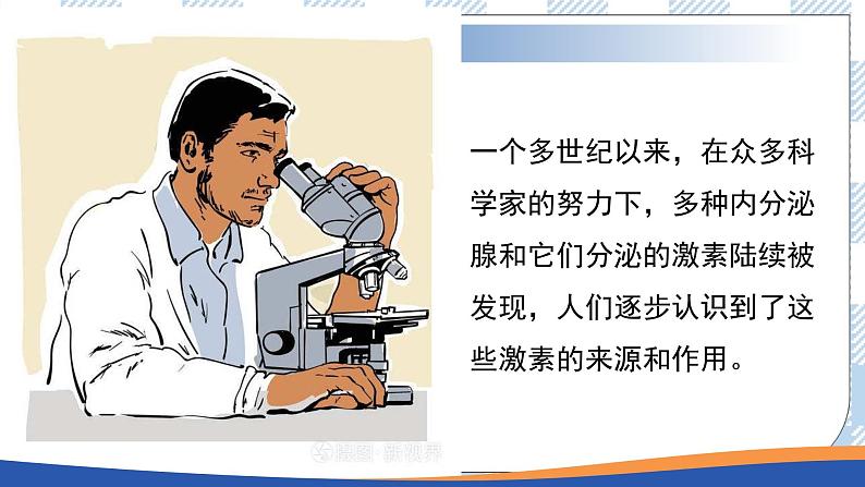 3.1 激素与内分泌系统 2课时课件＋课时作业（原卷＋解析卷）02