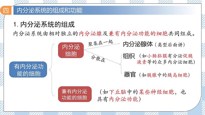 3.1 激素与内分泌系统 2课时课件＋课时作业（原卷＋解析卷）03
