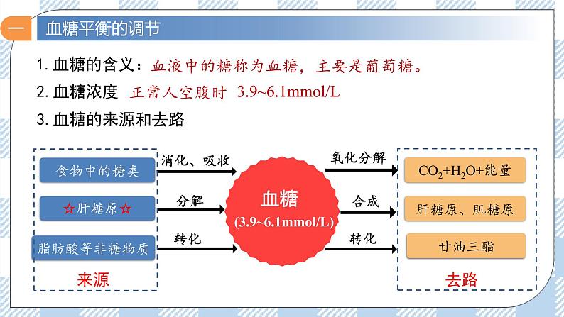 3.2 激素调节的过程 2课时课件＋课时作业（原卷＋解析卷）08