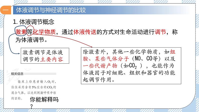 3.3 体液调节与神经调节的关系 2课时课件＋课时作业（原卷＋解析卷）04