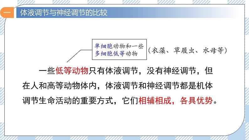 3.3 体液调节与神经调节的关系 2课时课件＋课时作业（原卷＋解析卷）06