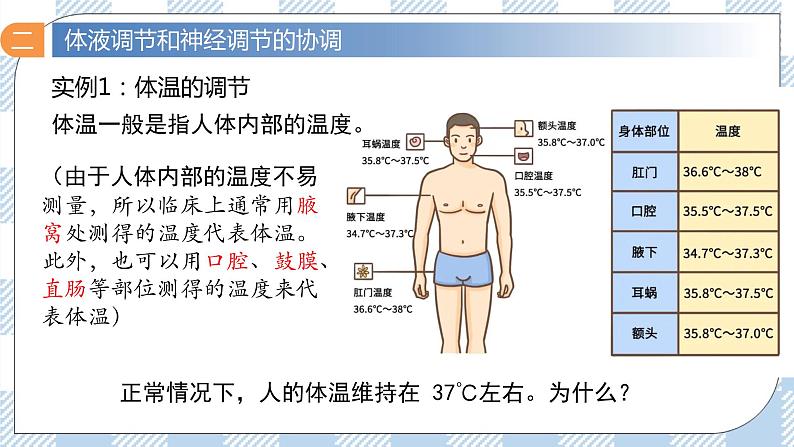 3.3 体液调节与神经调节的关系 2课时课件＋课时作业（原卷＋解析卷）08