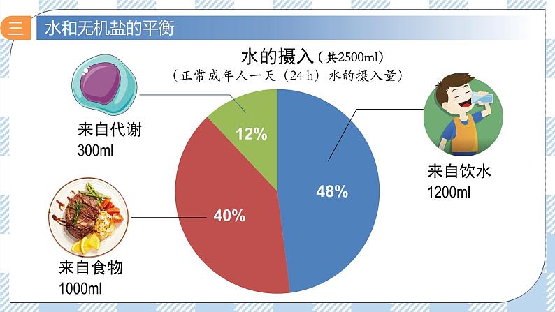 3.3 体液调节与神经调节的关系 2课时课件＋课时作业（原卷＋解析卷）06
