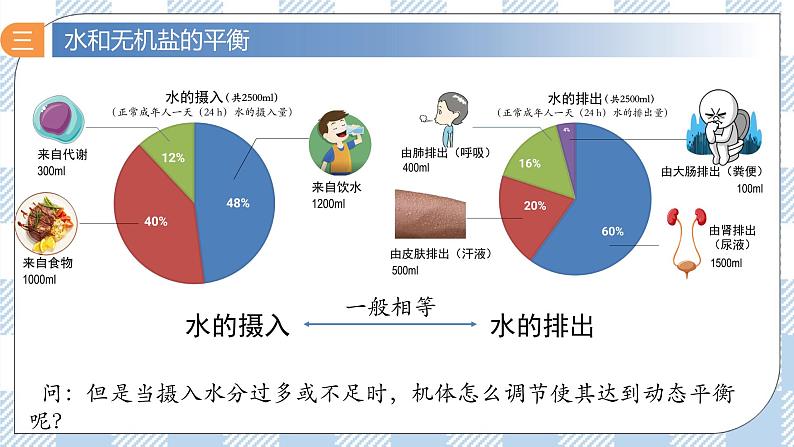 3.3 体液调节与神经调节的关系 2课时课件＋课时作业（原卷＋解析卷）08