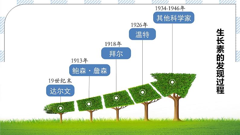 5.1 植物生长素 2课时课件＋课时作业（原卷＋解析卷）06