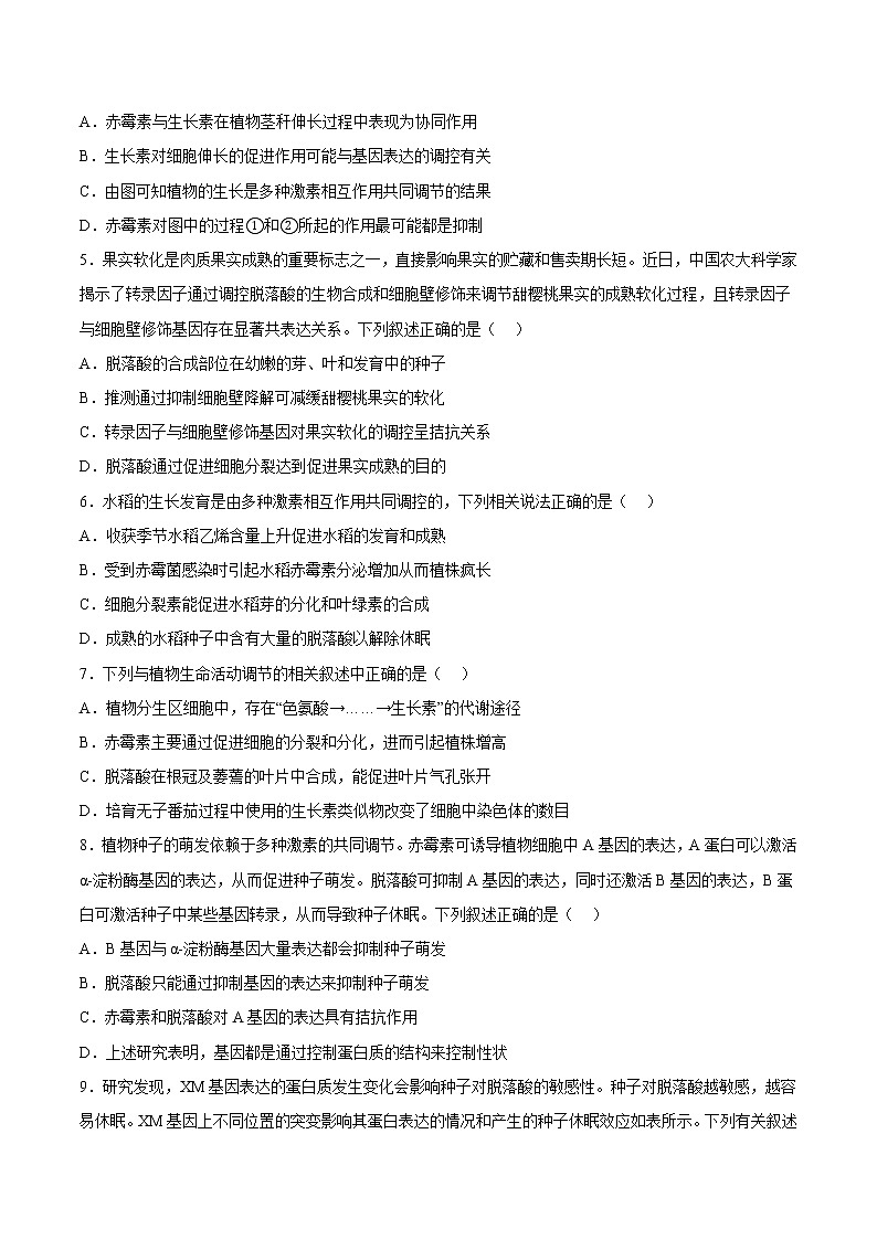 5.2 其他植物激素 课件＋课时作业（原卷＋解析卷）02