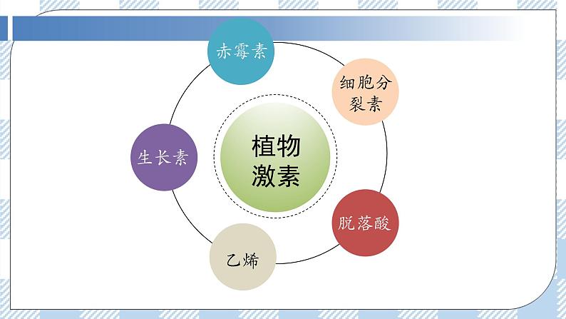 5.2 其他植物激素 课件＋课时作业（原卷＋解析卷）07