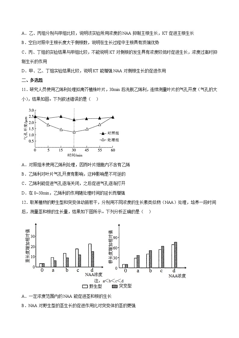 5.3 植物生长调节剂的应用 课件＋课时作业（原卷＋解析卷）03
