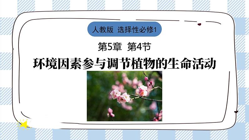 5.4 环境因素参与调节植物的生命活动 课件＋课时作业（原卷＋解析卷）01