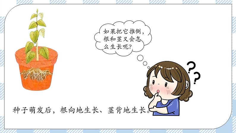 5.4 环境因素参与调节植物的生命活动 课件＋课时作业（原卷＋解析卷）02