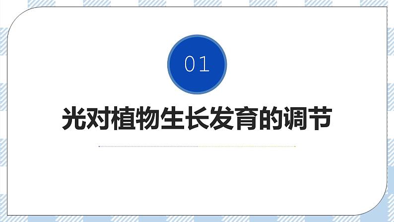 5.4 环境因素参与调节植物的生命活动 课件＋课时作业（原卷＋解析卷）07