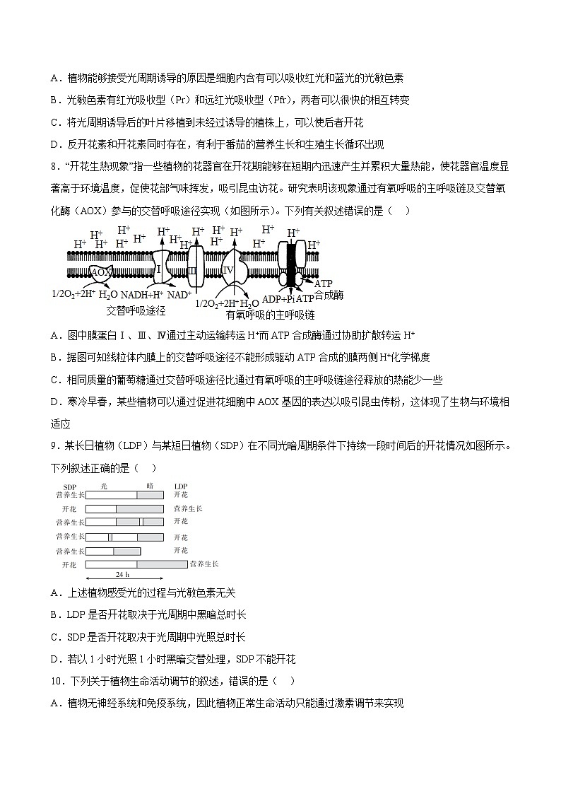 5.4 环境因素参与调节植物的生命活动 课件＋课时作业（原卷＋解析卷）03
