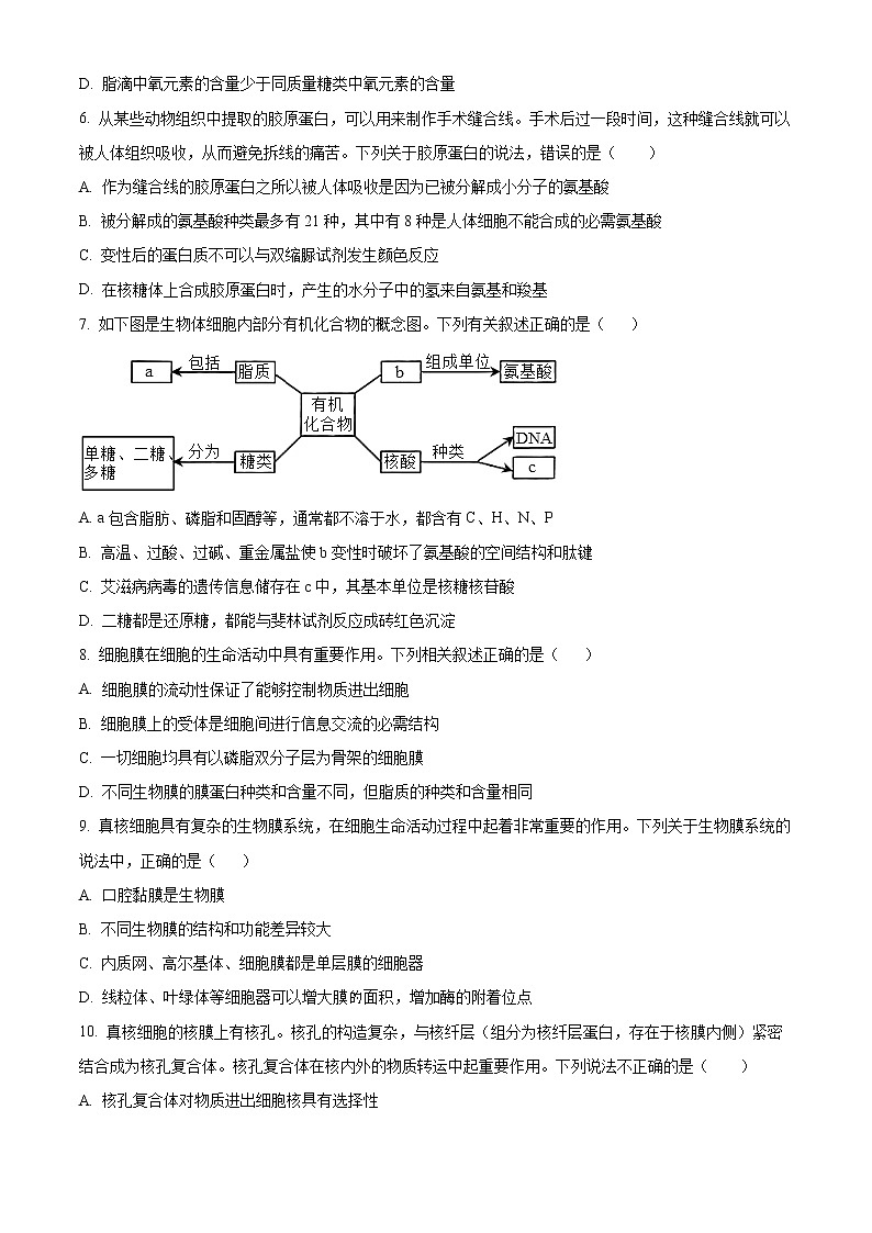 重庆市沙坪坝区重点中学2022-2023学年高一上学期期末复习题（一）生物试题无答案第2页