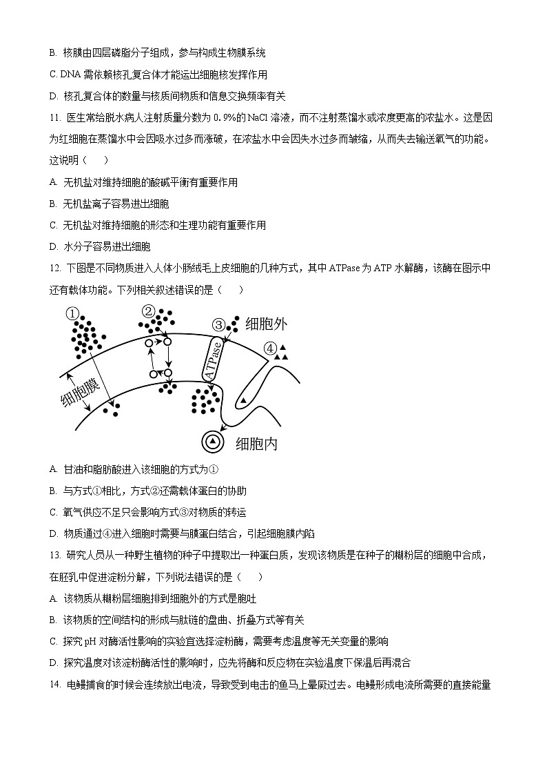 重庆市沙坪坝区重点中学2022-2023学年高一上学期期末复习题（一）生物试题无答案第3页
