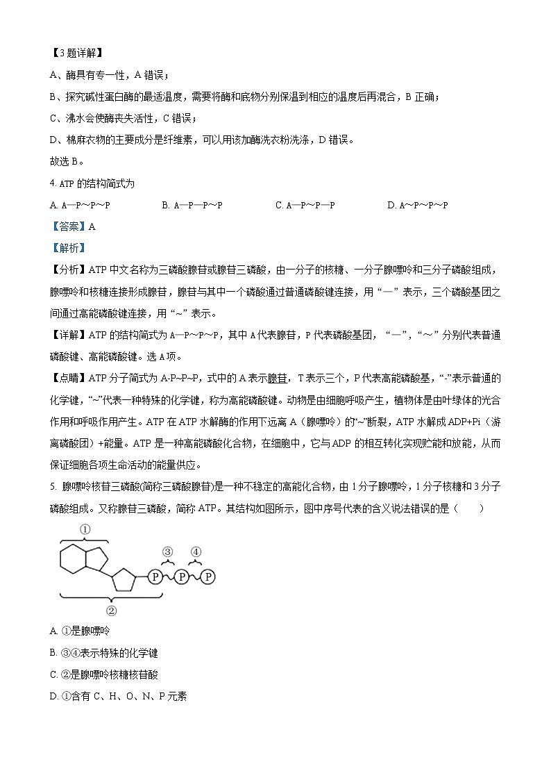 2023滕州五中高一上学期第二次线上考试生物试题含解析02