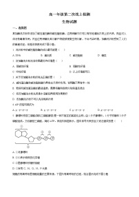 2023滕州五中高一上学期第二次线上考试生物试题含解析