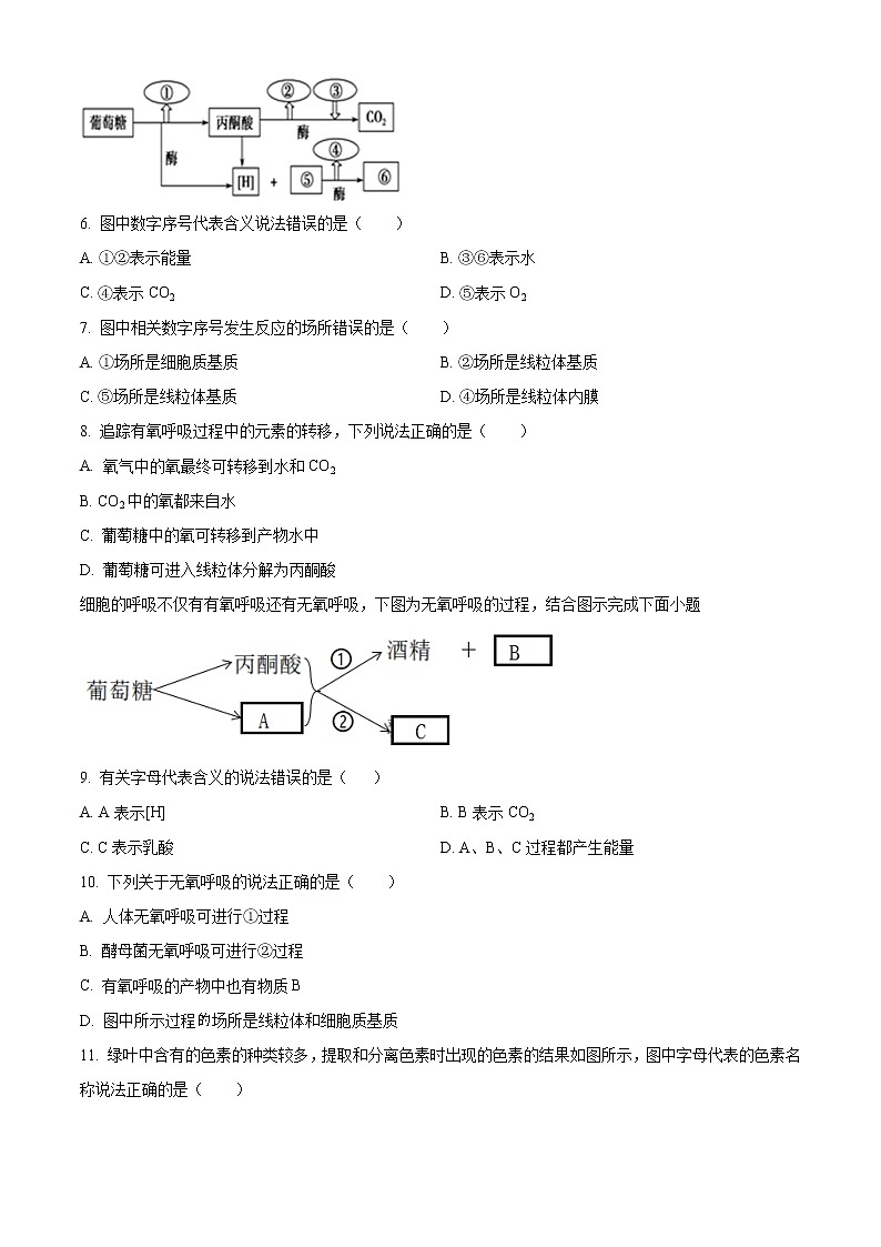 2023滕州五中高一上学期第二次线上考试生物试题含解析02