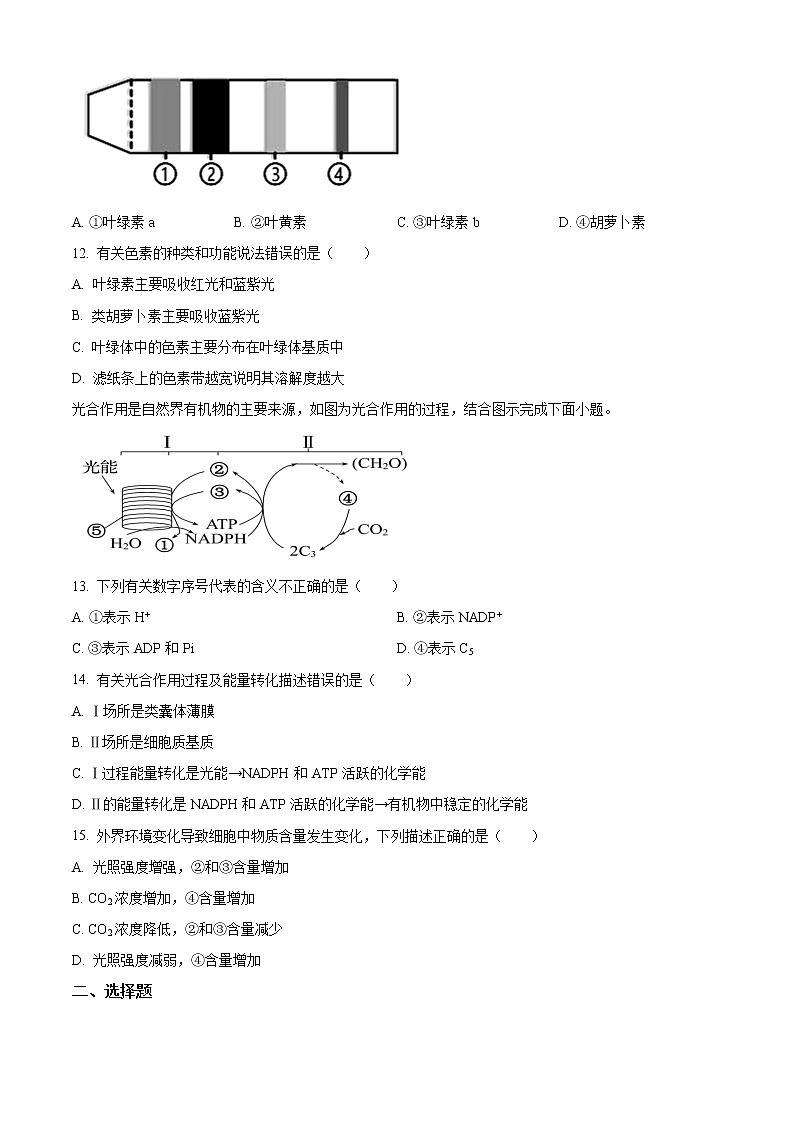 2023滕州五中高一上学期第二次线上考试生物试题含解析03