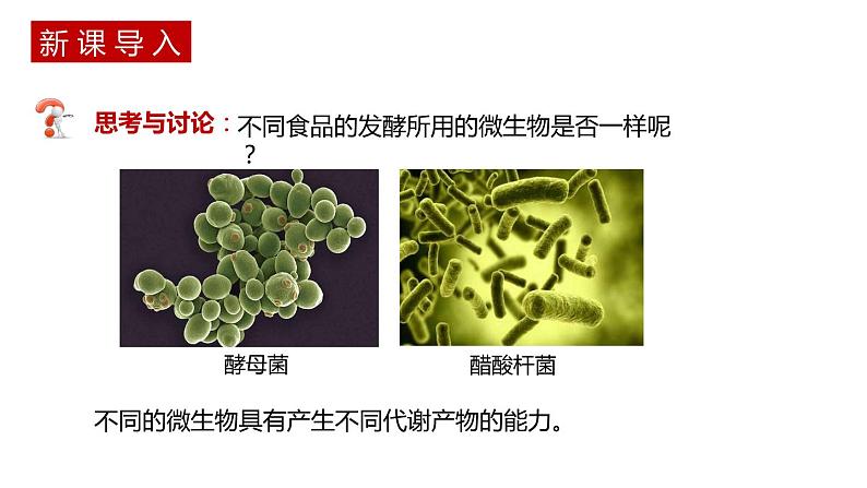 第一节 《传统发酵技术的应用》PPT课件+教案05