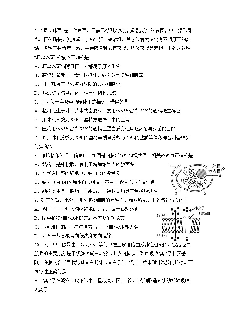 四川省泸县第一中学2022-2023学年高一生物上学期期末考试试题（Word版附答案）02