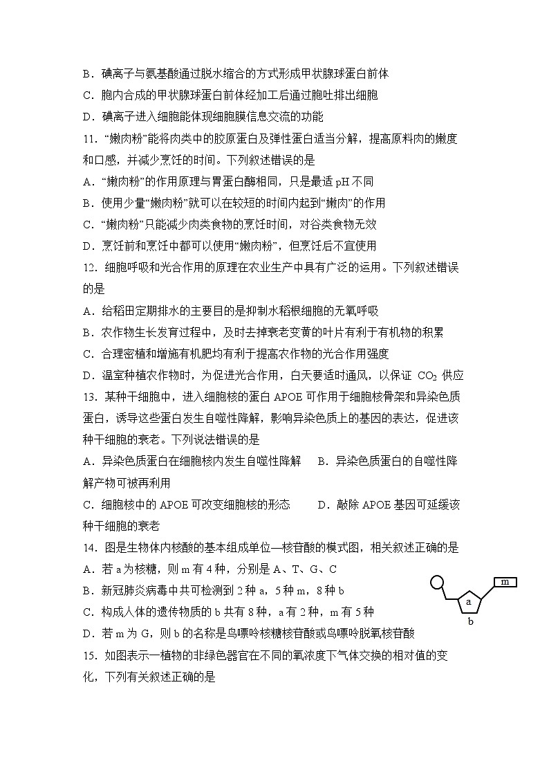 四川省泸县第一中学2022-2023学年高一生物上学期期末考试试题（Word版附答案）03