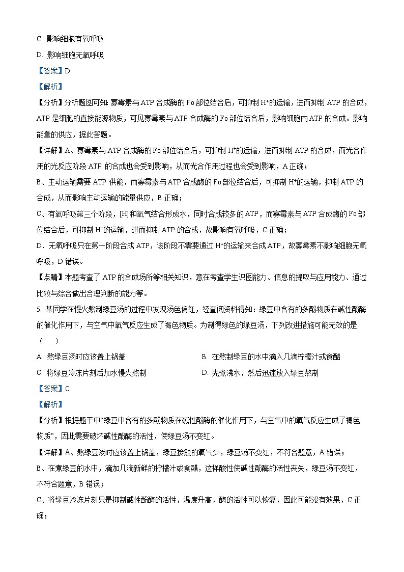 2021-2022学年浙江省宁波市慈溪市高二上学期期末生物试题  （解析版）03