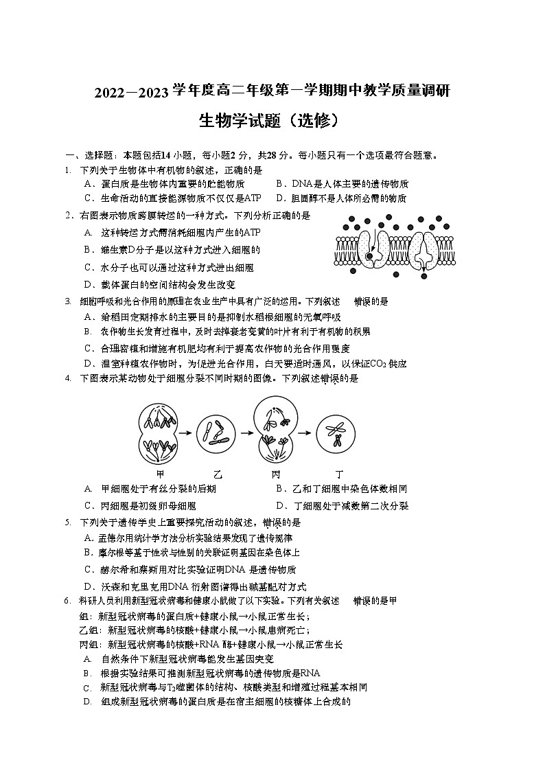 2022-2023学年江苏省南通市如皋市高二上学期期中教学质量调研生物试题（选修）（有答案）01