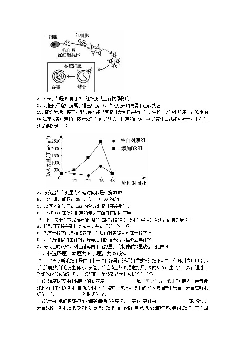 2022-2023学年广东省惠州市惠州中学等四校高二上学期联考生物试题第3页