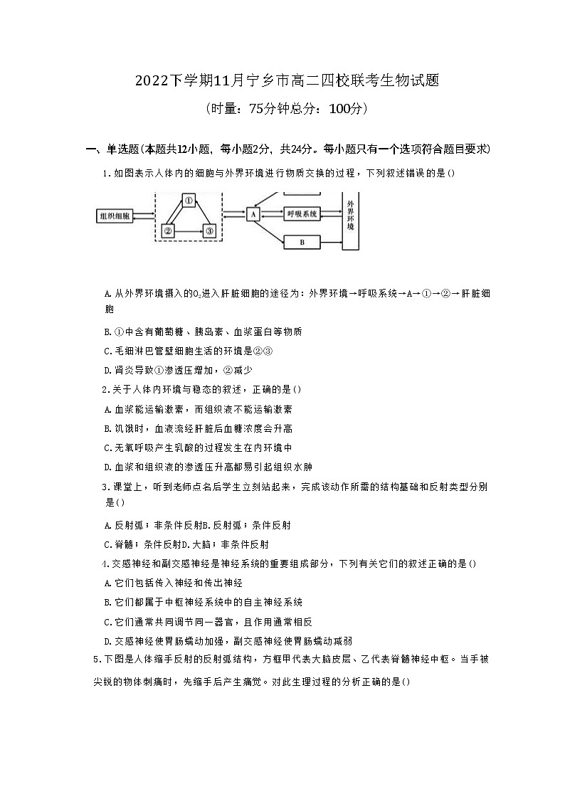 2022-2023学年湖南省长沙市宁乡市四校联考高二上学期11月月考生物学试题（Word版含答案）01