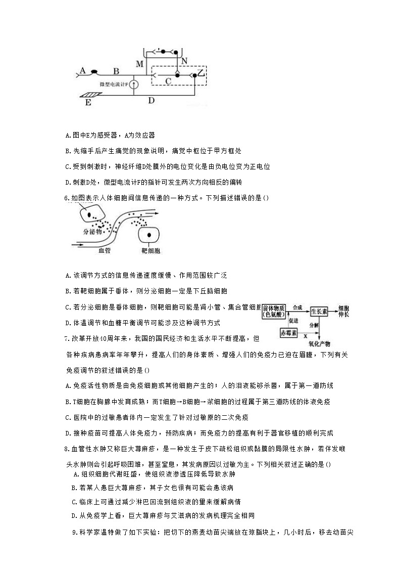 2022-2023学年湖南省长沙市宁乡市四校联考高二上学期11月月考生物学试题（Word版含答案）02