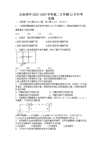 2022-2023学年陕西省渭南市白水县中高二上学期12月月考生物学试题（Word版含答案）