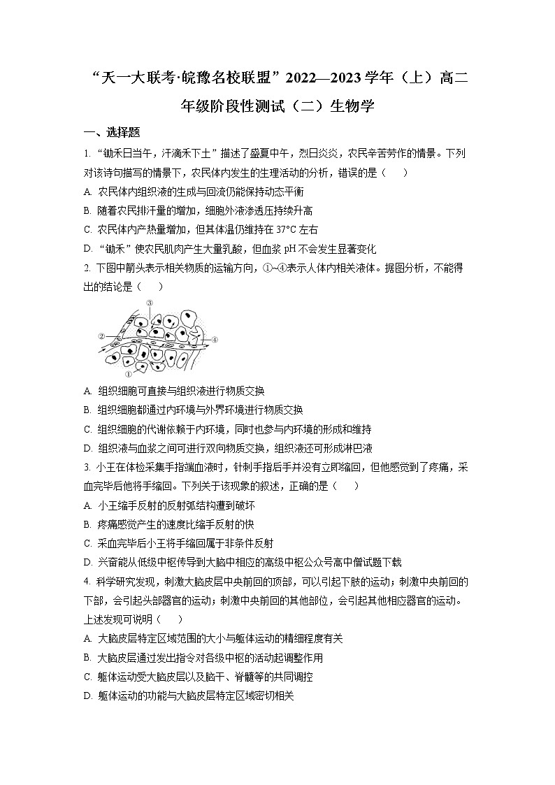 天一大联考皖豫名校联盟2022-2023学年高二生物上学期阶段测试（二）（Word版附答案）01