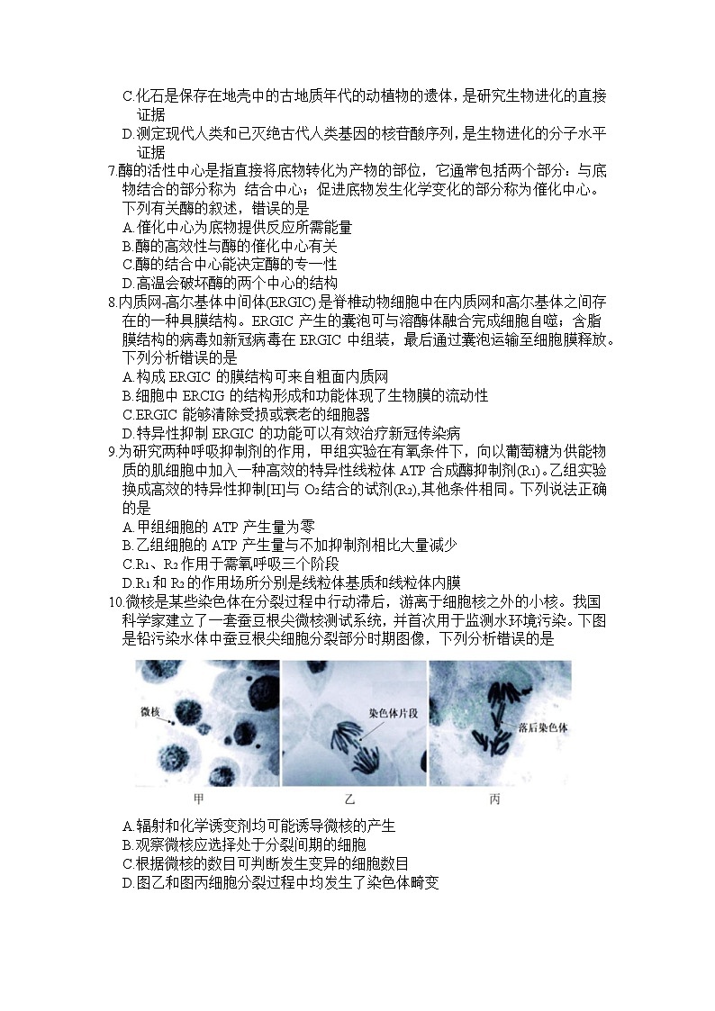 浙江省北斗星盟2022-2023学年高三生物上学期适应性考试试卷（一模）（Word版附答案）第2页