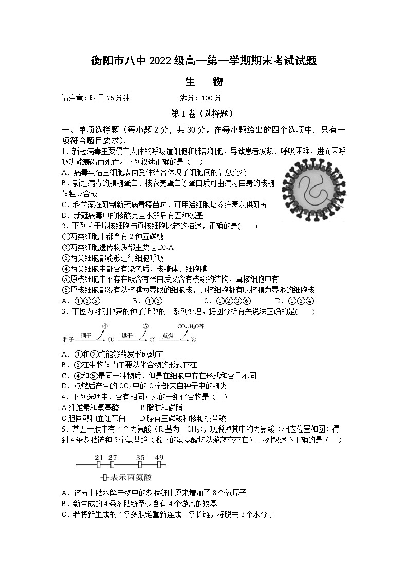 湖南省衡阳市第八中学2022-2023学年高一生物上学期期末考试试题（Word版附答案）01