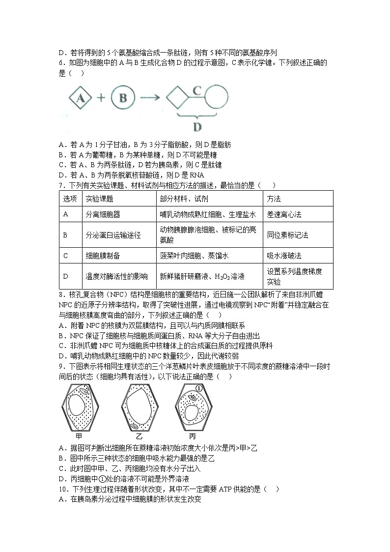 湖南省衡阳市第八中学2022-2023学年高一生物上学期期末考试试题（Word版附答案）02