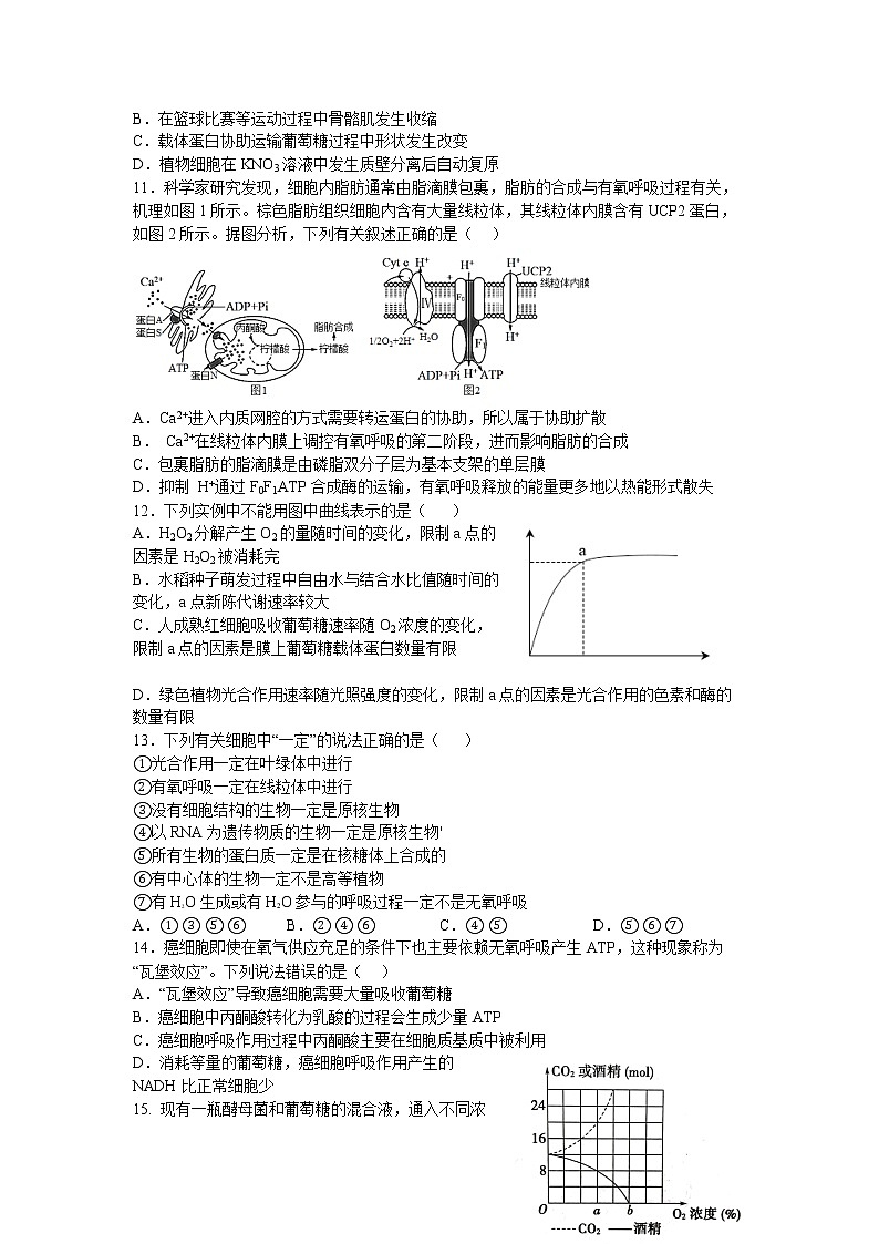 湖南省衡阳市第八中学2022-2023学年高一生物上学期期末考试试题（Word版附答案）03