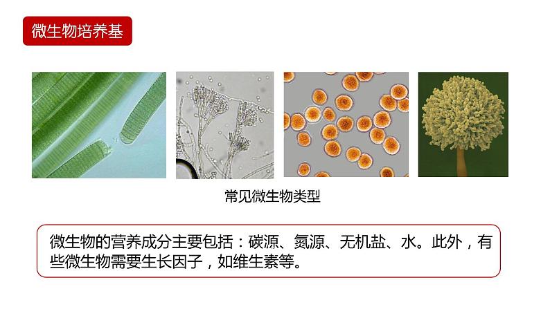 第二节 《微生物的基本培养技术》PPT课件+教案03