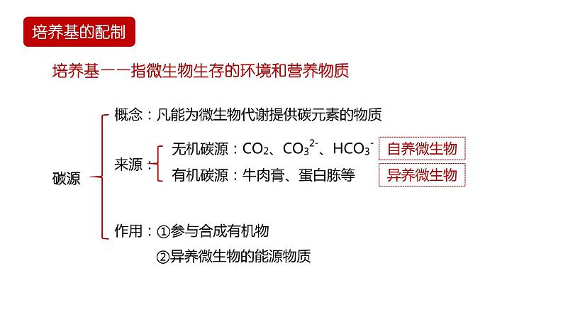 第二节 《微生物的基本培养技术》PPT课件+教案04