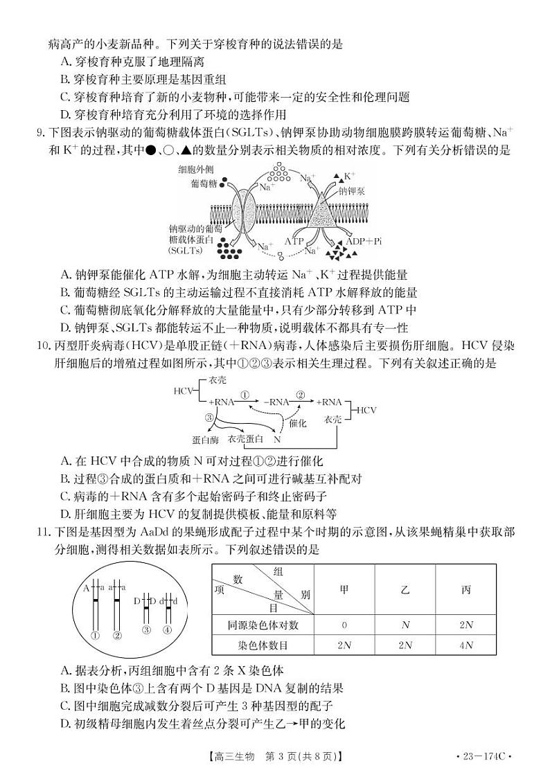 2023湖北省十堰市高三上学期元月调研考试 生物试题及答案第3页