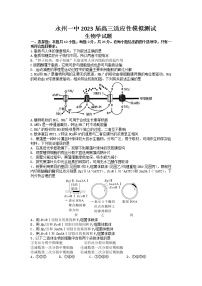 2023永州一中高三上学期元月考试生物试卷含答案