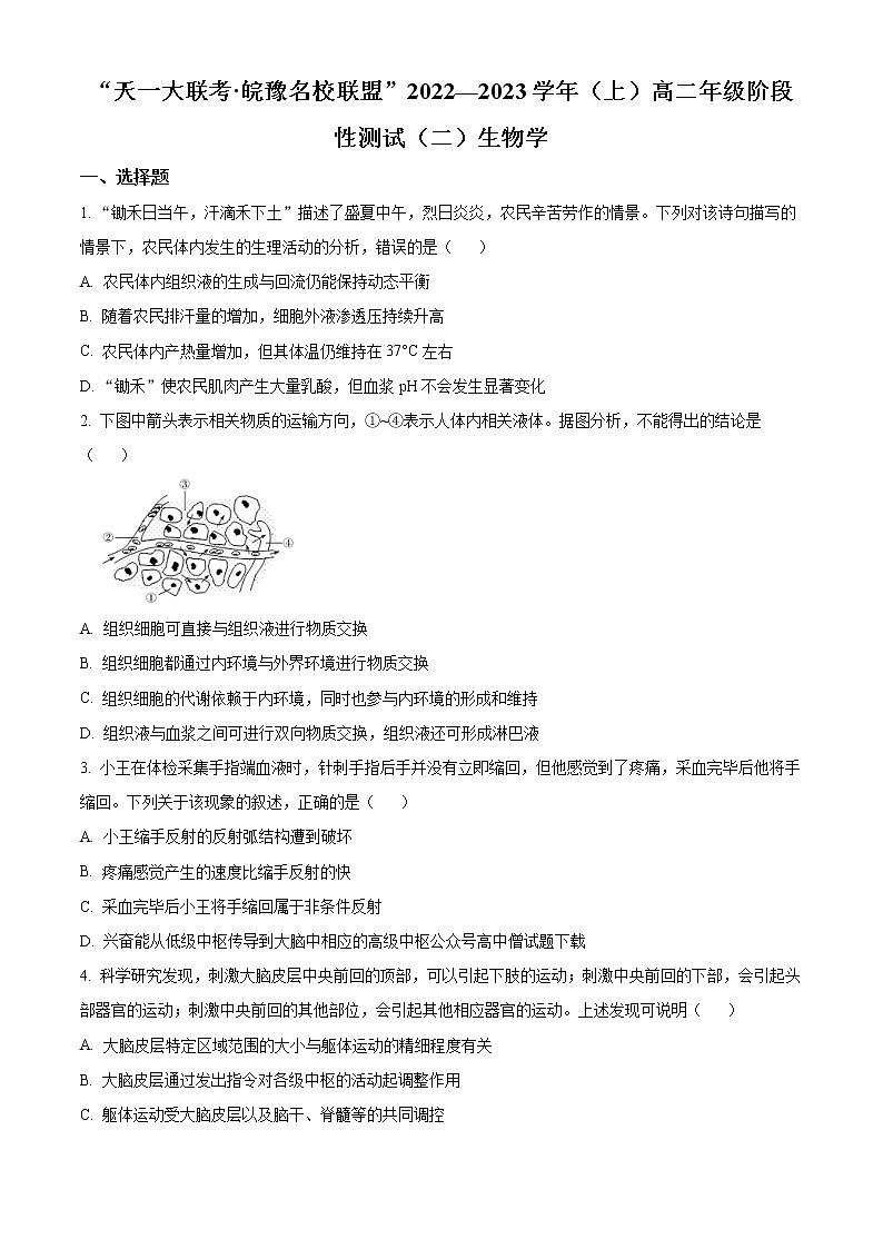 2023天一大联考皖豫名校联盟高二上学期阶段测试（二）生物含答案01