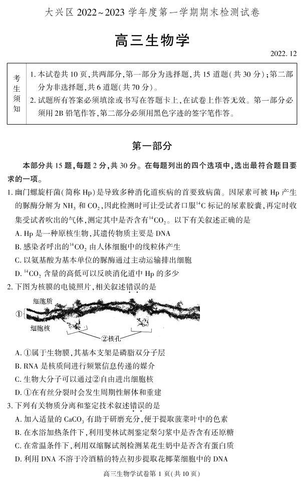 北京市大兴区2022-2023学年高三上学期期末考试生物试题（无答案）01