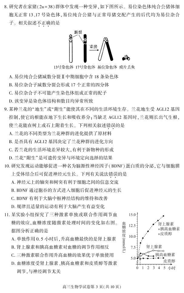 北京市大兴区2022-2023学年高三上学期期末考试生物试题（无答案）03