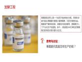 第三节   《发酵工程及其应用》PPT课件+教案