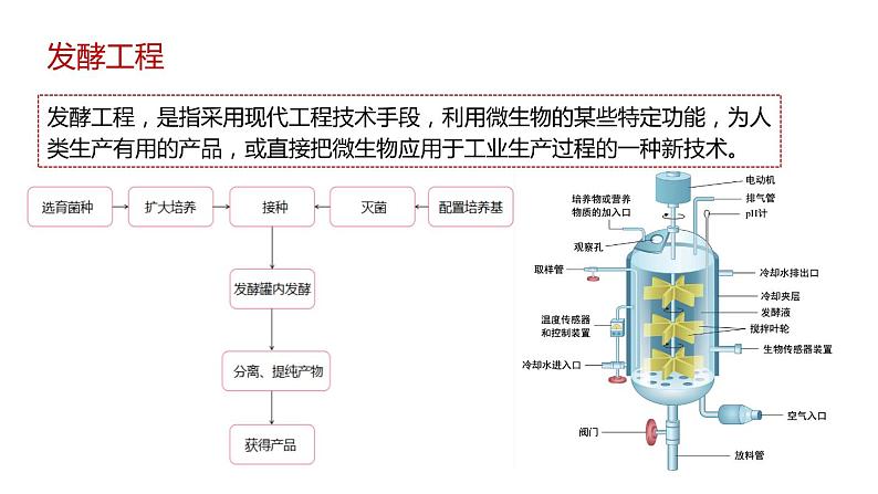 第三节 发酵工程及应用课件第3页