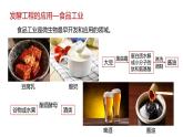 第三节   《发酵工程及其应用》PPT课件+教案