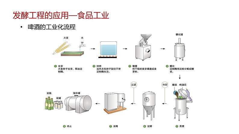 第三节 发酵工程及应用课件第5页